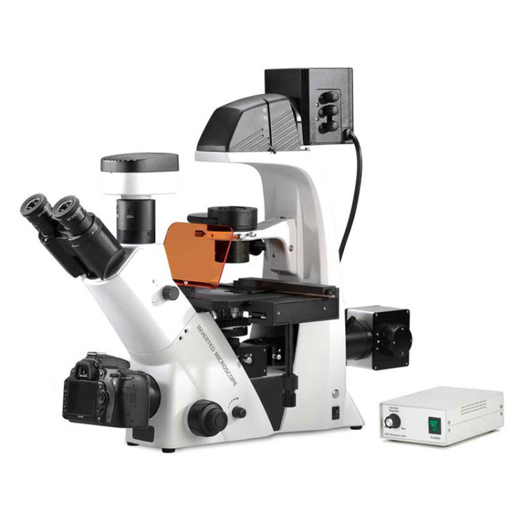 BDS500-FL Fluorescence Microsc