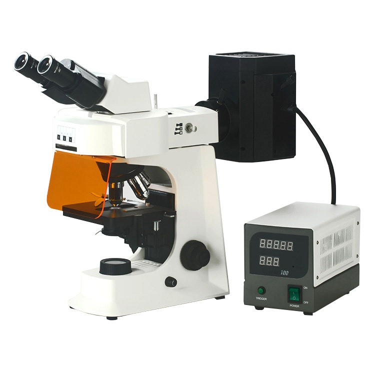 Smart-FL Fluorescence Microsco
